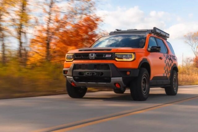 CP-2024-0164-33231548-thumb