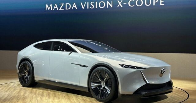 CP-2024-0164-33277003-thumb