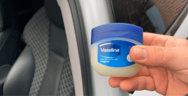 CP-2025-0196-33262583-thumb