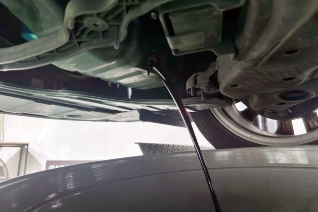 CP-2023-0065-33584636-thumb