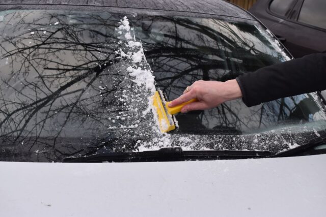 CP-2025-0252-33686837-thumb