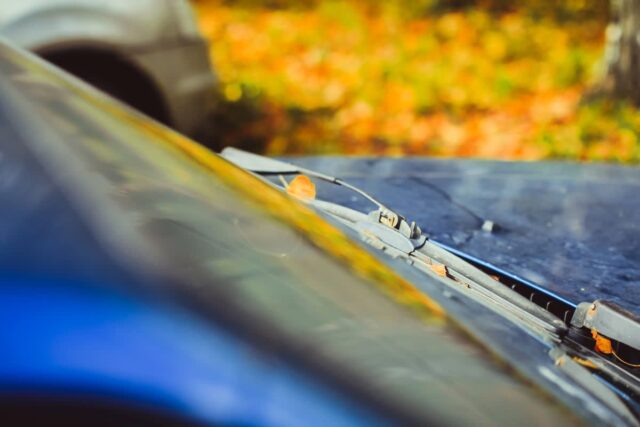 CP-2023-0065-33830297-thumb