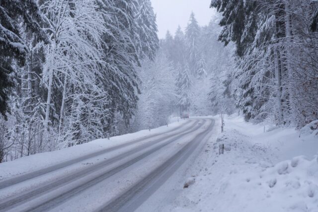 CP-2022-0081-34392140-thumb