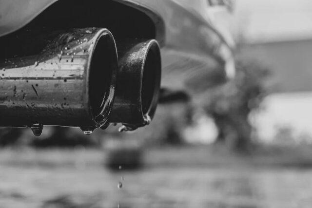 CP-2024-0164-34622850-thumb