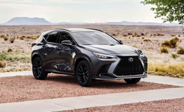 CP-2022-0081-34701925-thumb