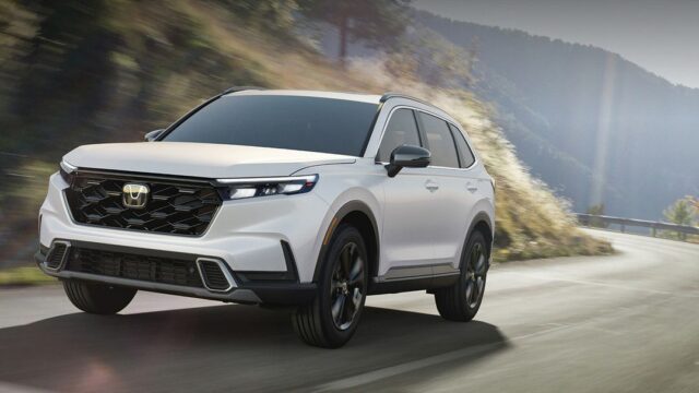 CP-2024-0164-34647451-thumb