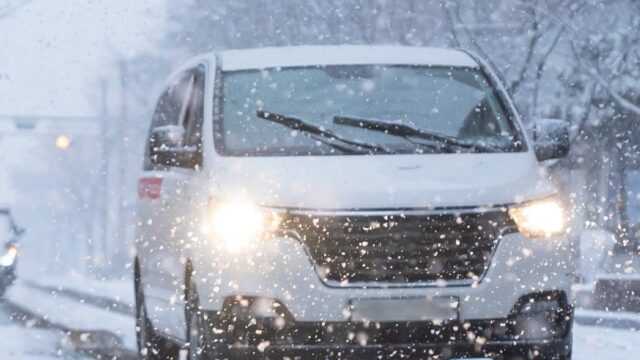 CP-2024-0164-34792596-thumb