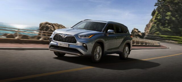 models-highlander-highlight-3