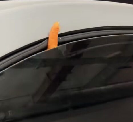 CP-2025-0293-35200939-thumb