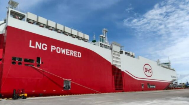 CP-2025-0051-35259975-thumb