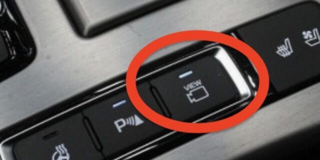 CP-2025-0292-35631542-thumb