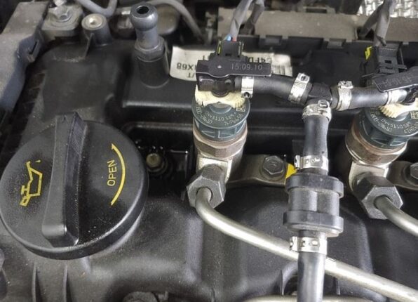 CP-2024-0164-35459817-thumb