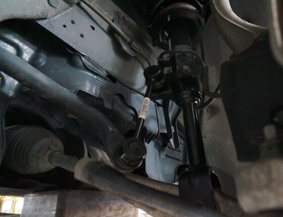 CP-2024-0164-35675980-thumb