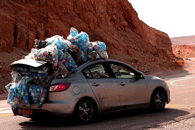 CP-2024-0164-35723795-thumb