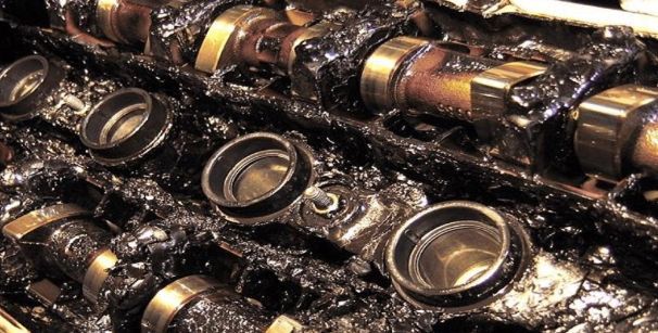 CP-2024-0164-35859906-thumb