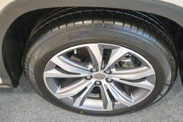 CP-2022-0245-36495531-thumb