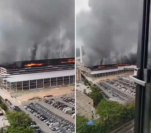 CP-2024-0164-36590511-thumb