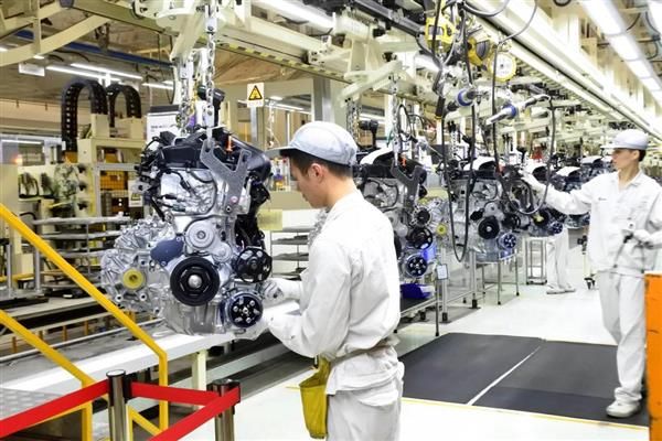 CP-2025-0051-36617825-thumb