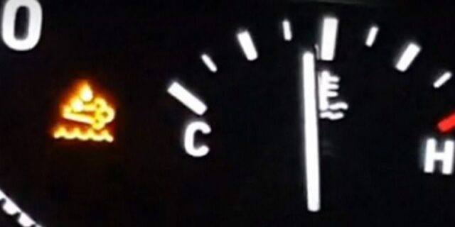 CP-2024-0164-36686399-thumb