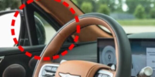 CP-2024-0164-36686276-thumb