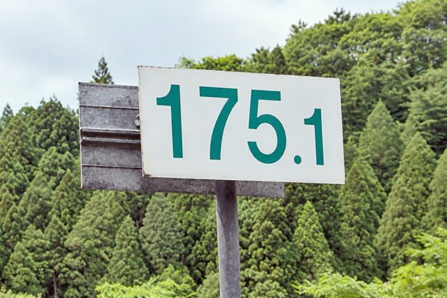 CP-2026-0033-38404700-thumb