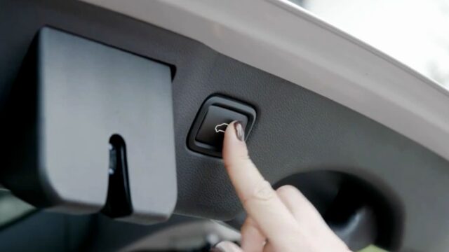 CP-2026-0018-39000400-thumb